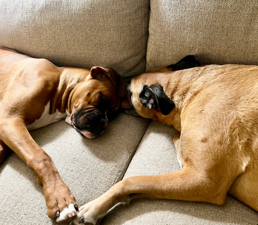 Introducing Tuke and Company